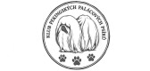 Klub Pekingských palácových psíků 